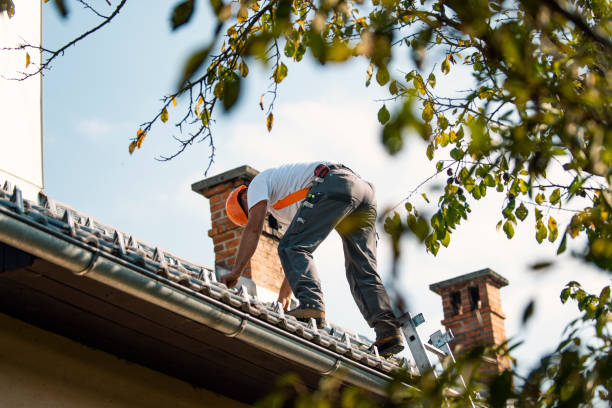 Best Slate Roofing Contractor  in Belfair, WA