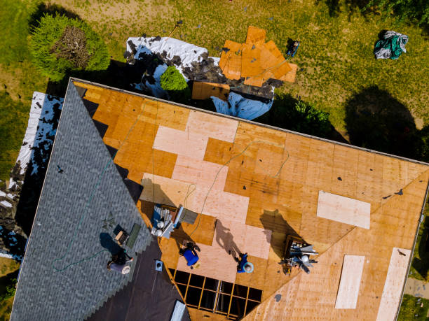 Professional Roofing Contractor in Belfair, WA