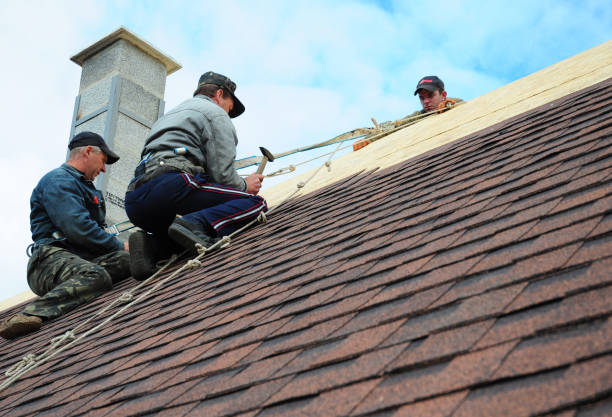 Best Roof Waterproofing Services  in Belfair, WA